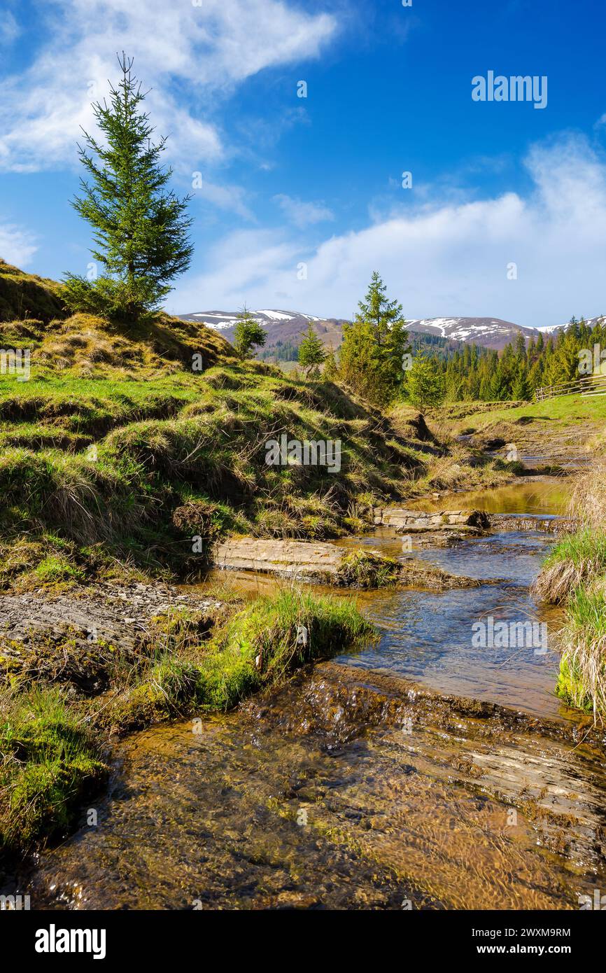 shallow water stream through the valley of carpathian mountains. borzhava range in the distance. rural landscape of ukraine on a sunny day in spring Stock Photo