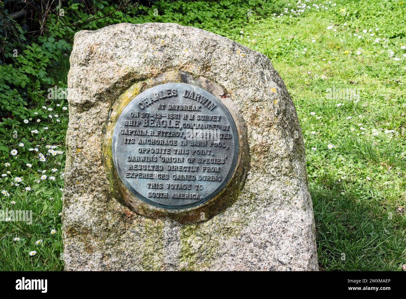 Charles Darwin Memorial plaque on the South West Coast Path in Western ...