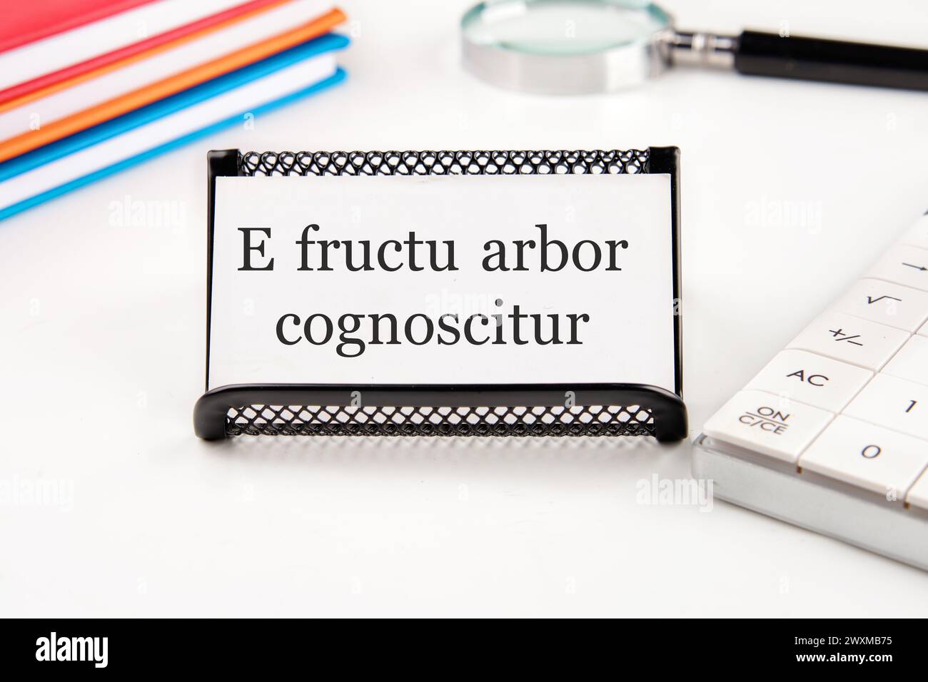 E fructu arbor cognoscitur the phrase in Latin translates as the Tree is known by its fruits on a white business card on a table with office supplies Stock Photo