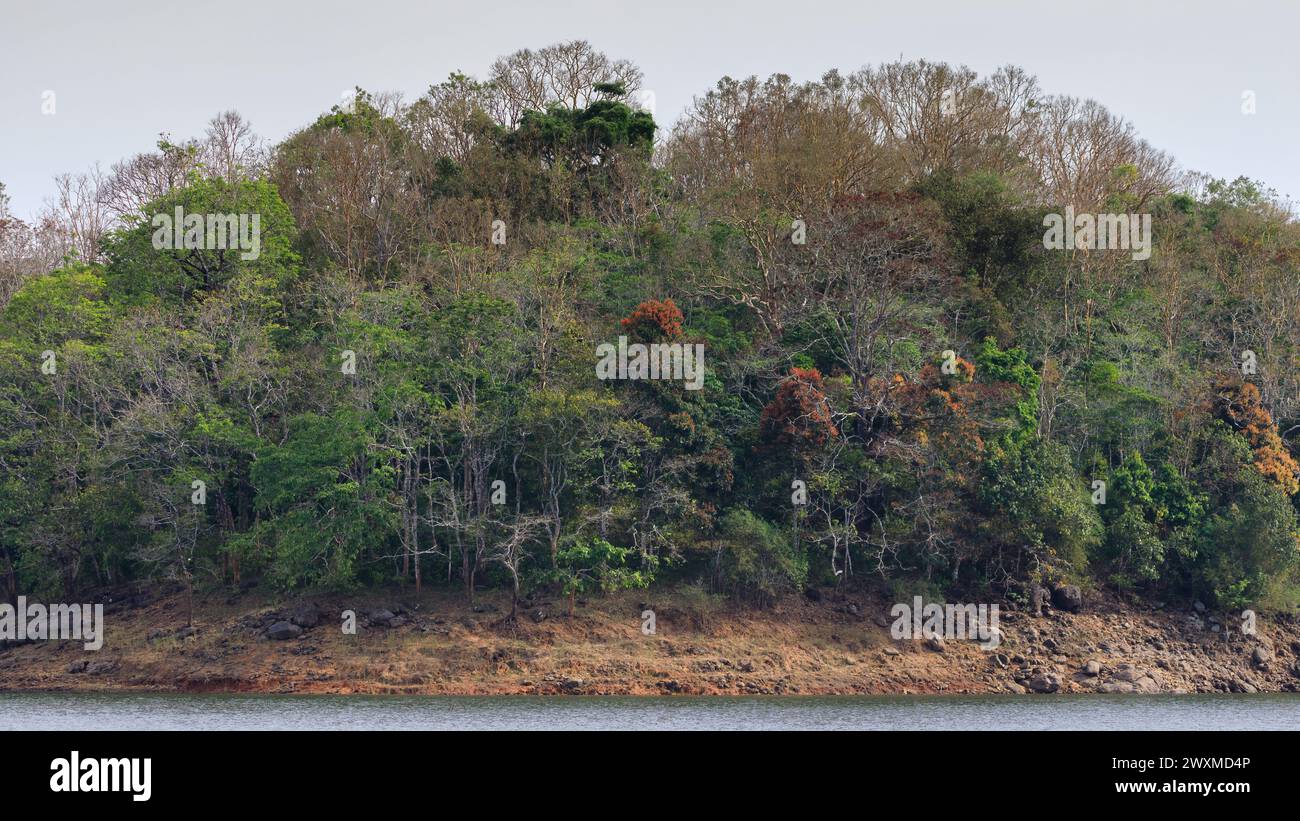 Beautiful landscape photos of Periyar tiger reserve / Thekkady Tourism ...