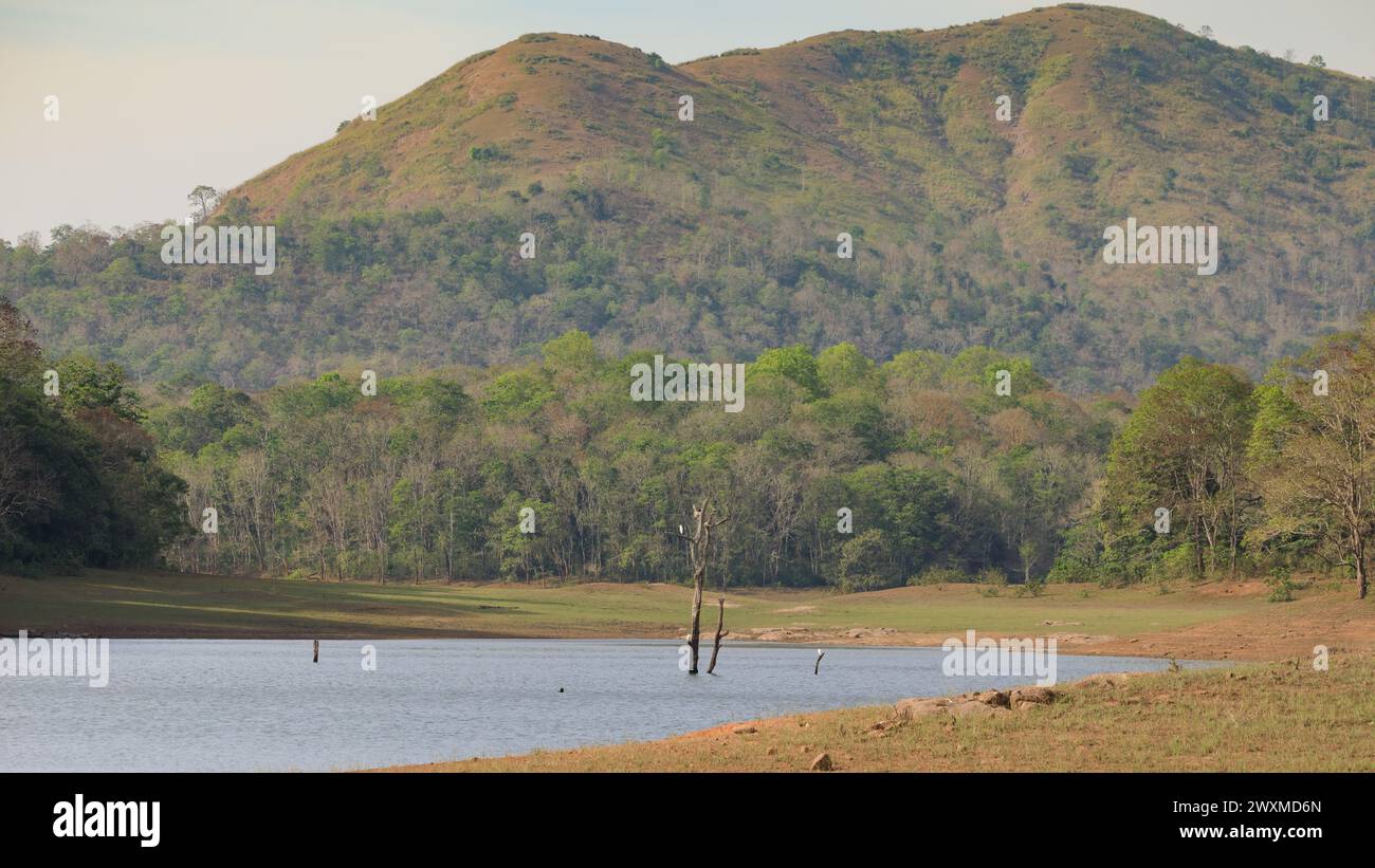 Beautiful landscape photos of Periyar tiger reserve / Thekkady Tourism ...