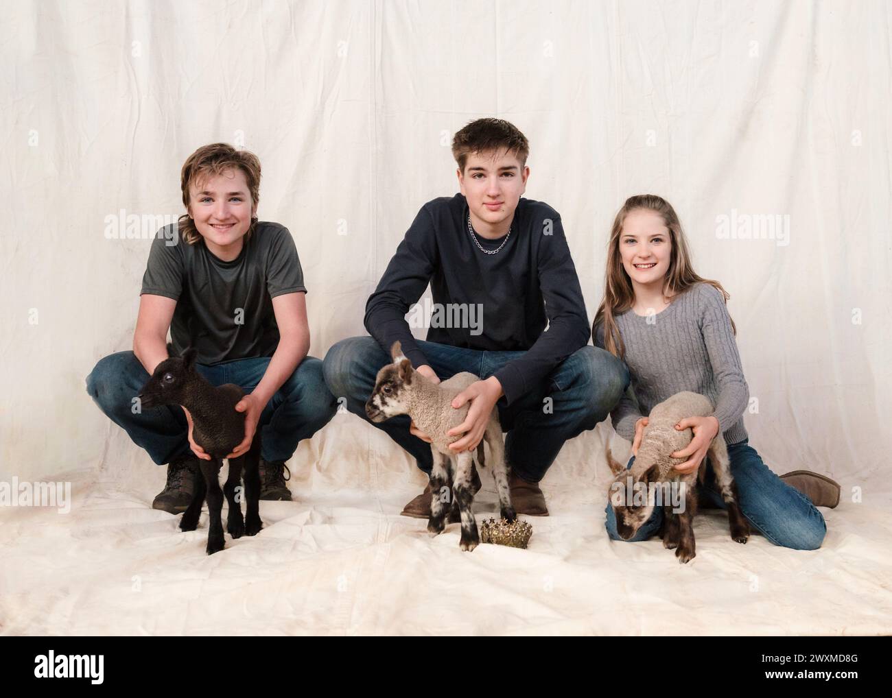 Three siblings with their lambs. Stock Photo