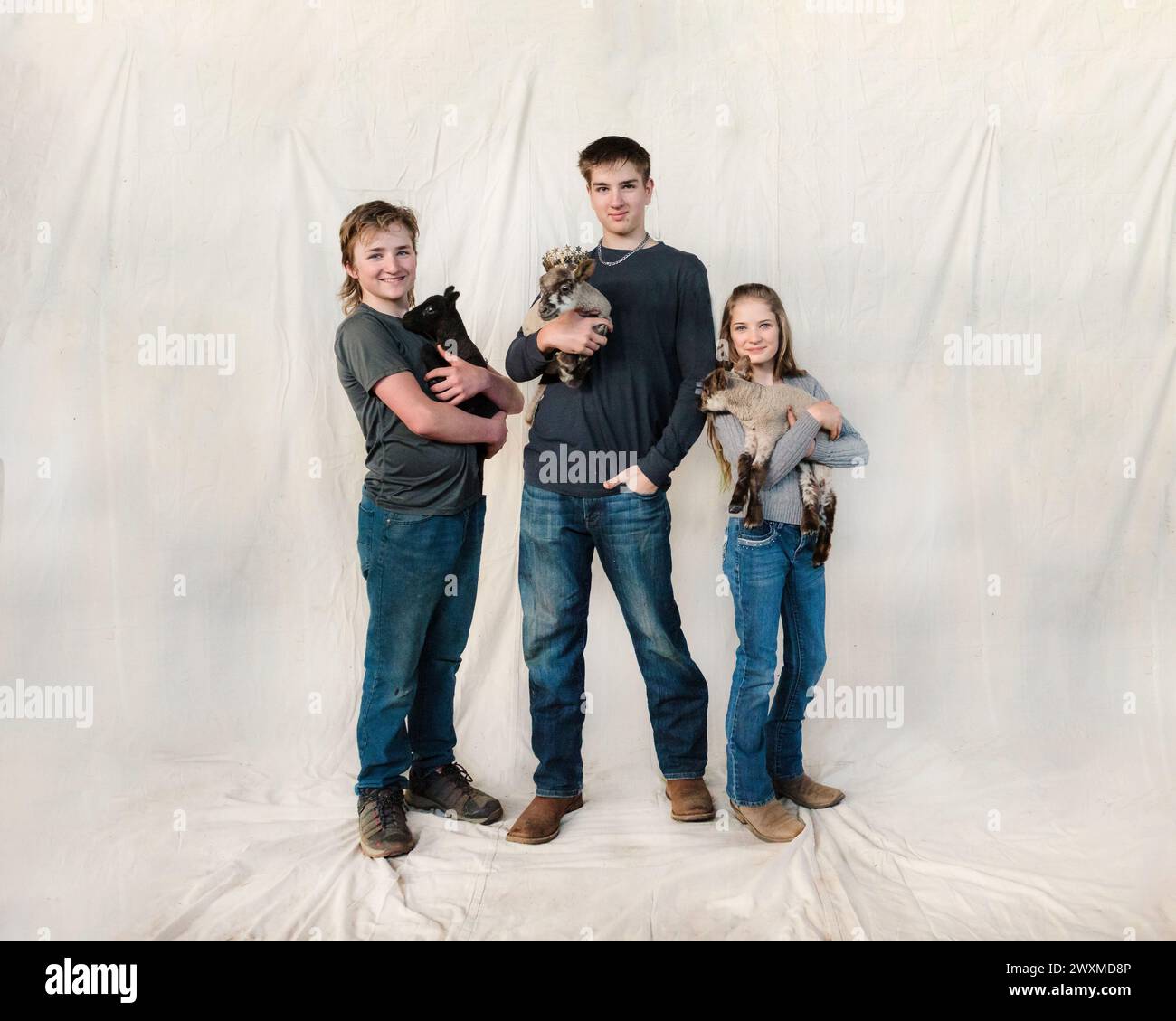 Two teen boys and one girl holding lambs. Stock Photo