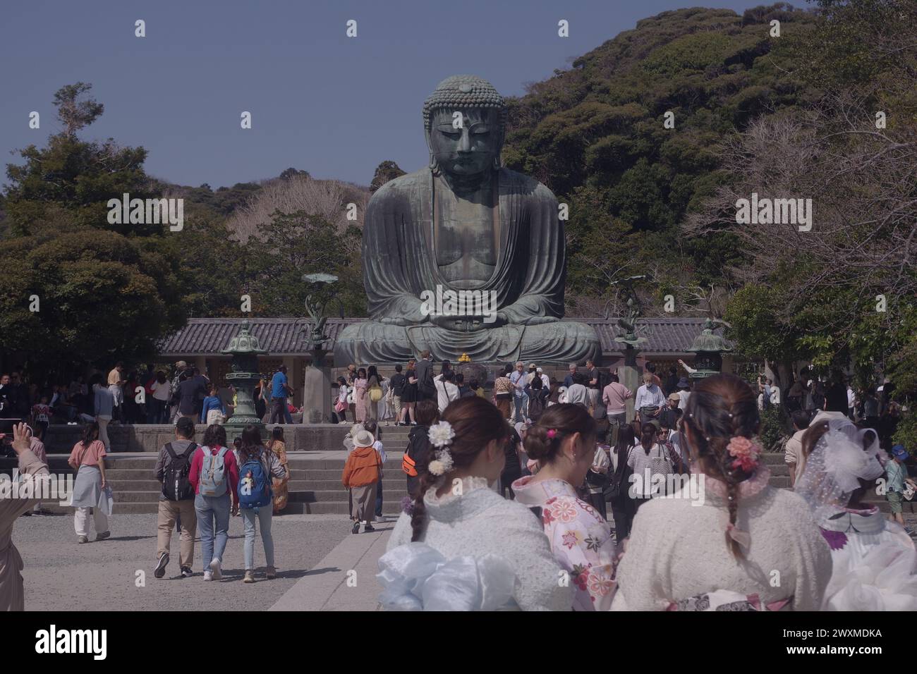 Daibutsu (Big Buddha) in Kamakura, Kanagawa Prefecture, Japan Stock ...