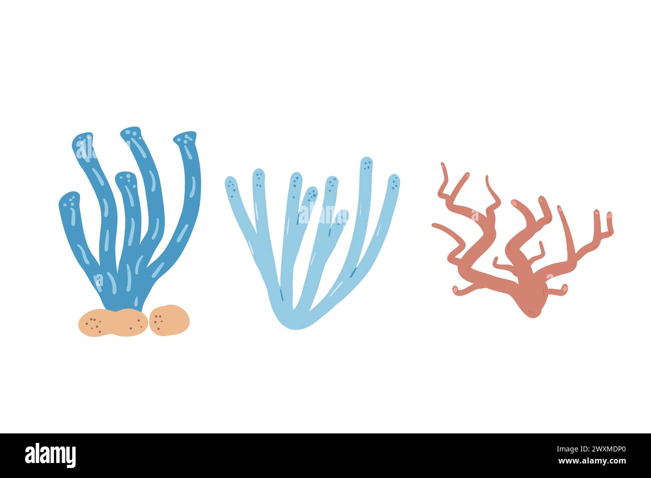 Coral reef set isolated on white background. Sea underwater elements ...
