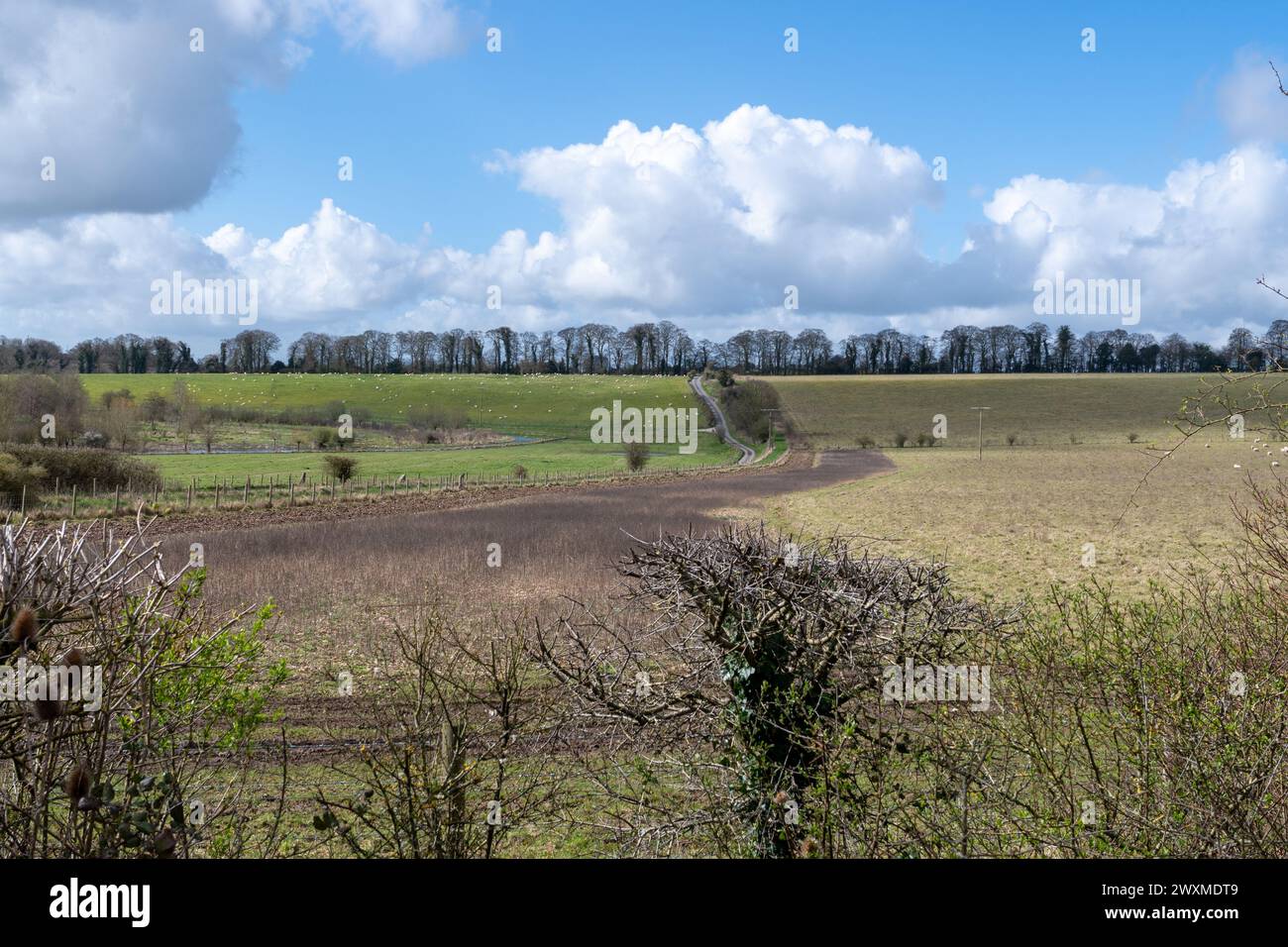 RSPB Winterbourne Downs nature reserve in Spring, Wiltshire, England, UK. A view of the rolling chalk farm landscape Stock Photo
