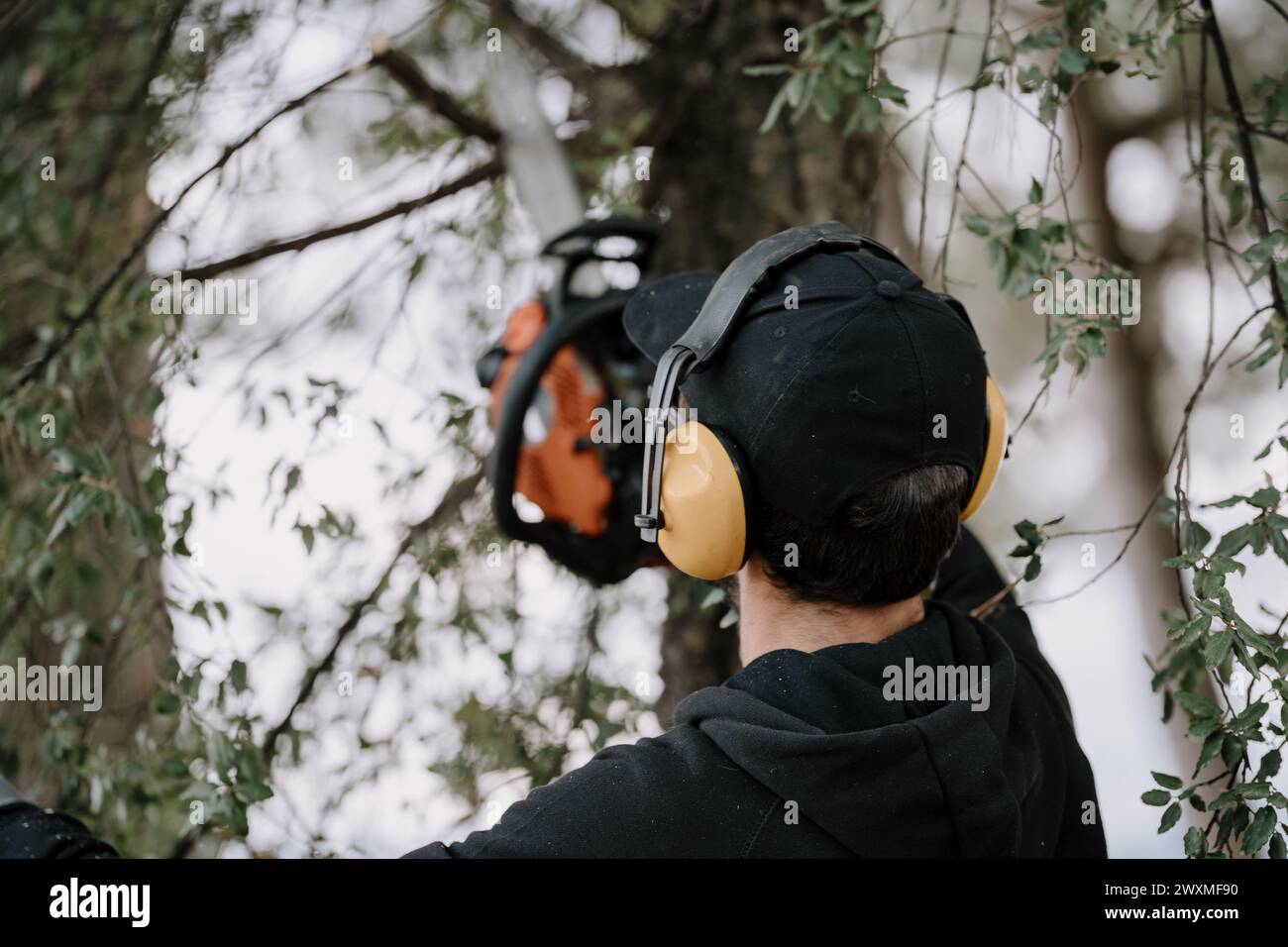 A man cutting a tree with a circular saw Stock Photo