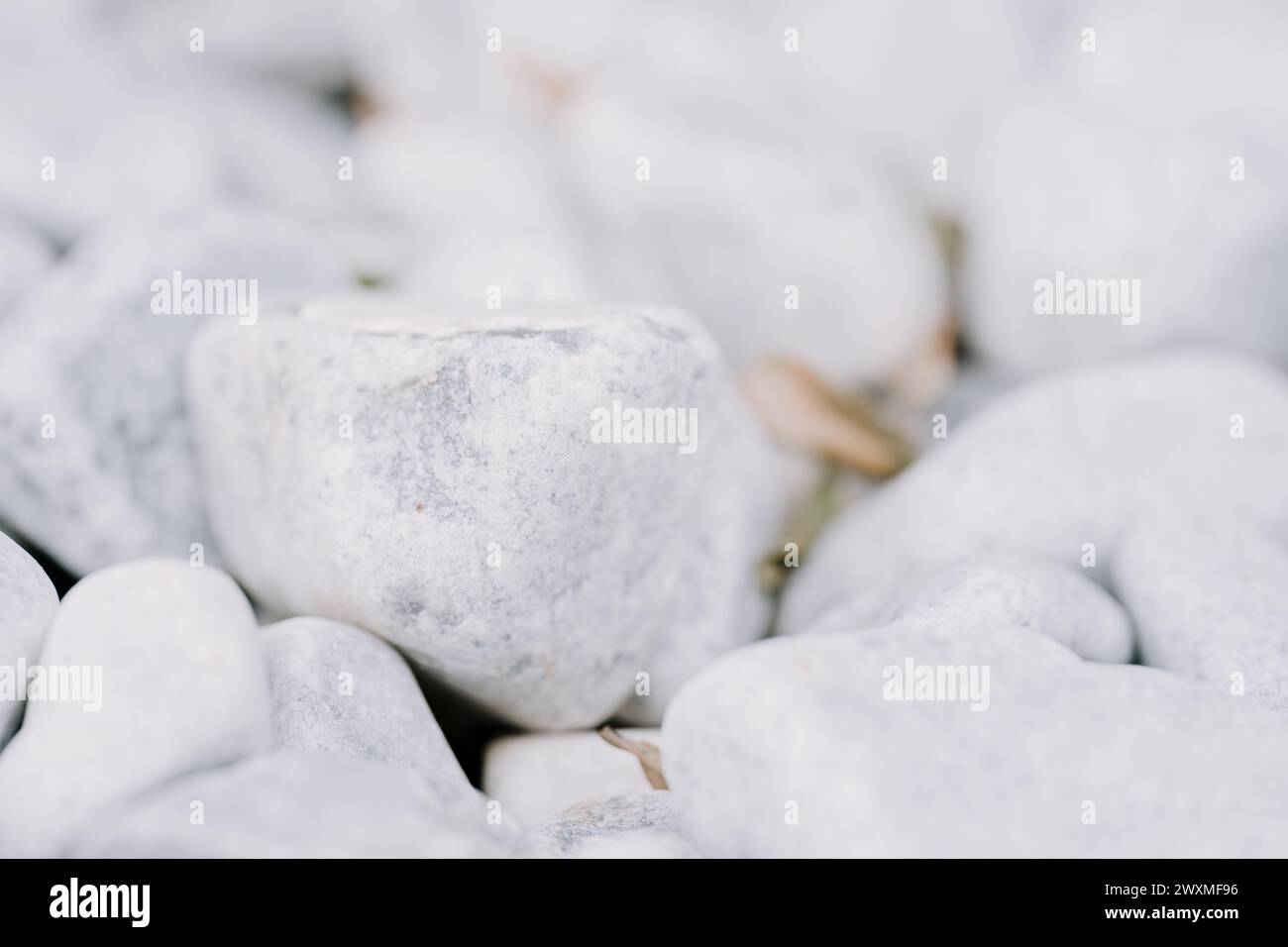 A close-up of textured rocks on the ground Stock Photo - Alamy