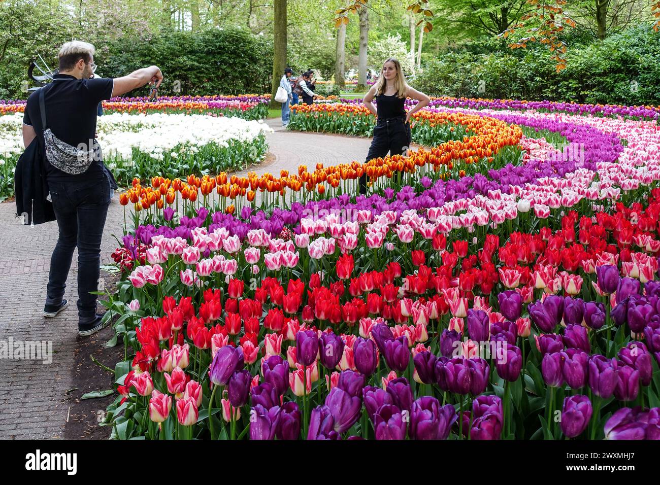 Photographer taking a picture of a woman posing among vibrant and colorful tulips at a the Keukenhof gardens, Lisse, Netherlands Stock Photo