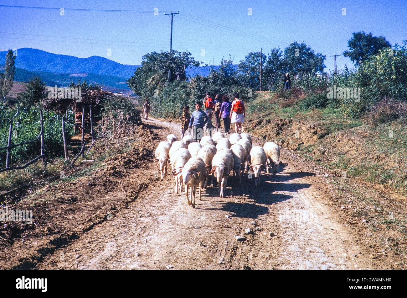 Sheep and ramblers, rural Turkey 1974 Stock Photo