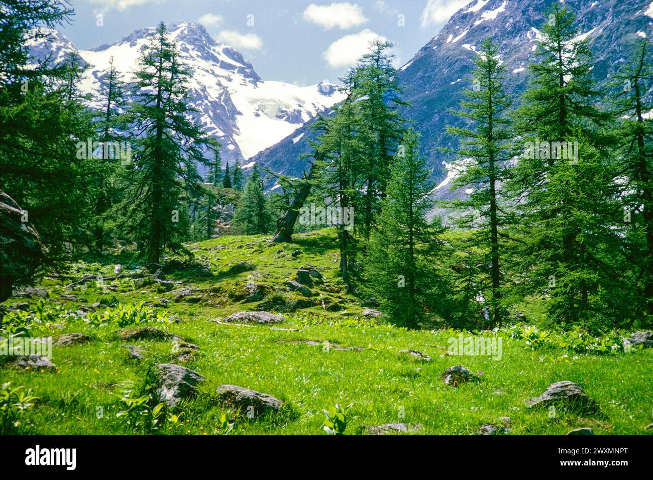 Alpine scenery landscape, Schwarzhorn, Bernese Alps, Switzerland, Europe 1960s Stock Photo