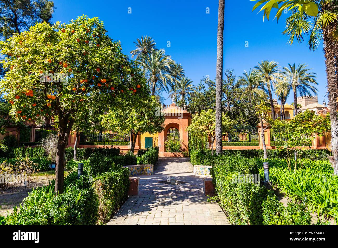 Royal Alcázar of Seville gardens with palm and orange trees, Andalusia, Spain Stock Photo