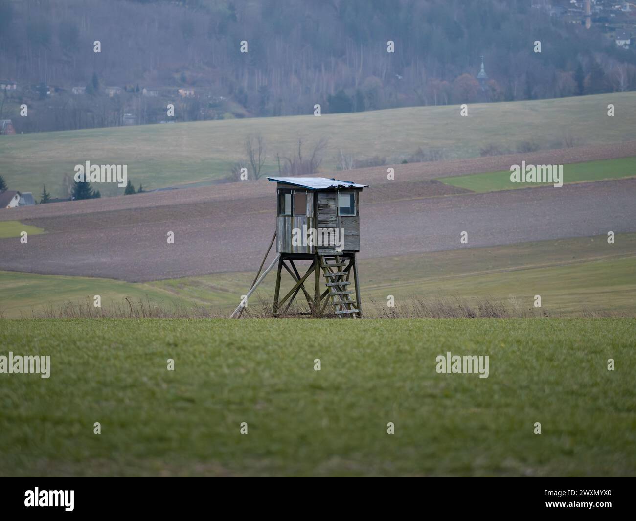 Hunting stand or high seat for hunters in a rural landscape with agricultural fields. Wooden cabin for people to hide and shoot at animals. Stock Photo