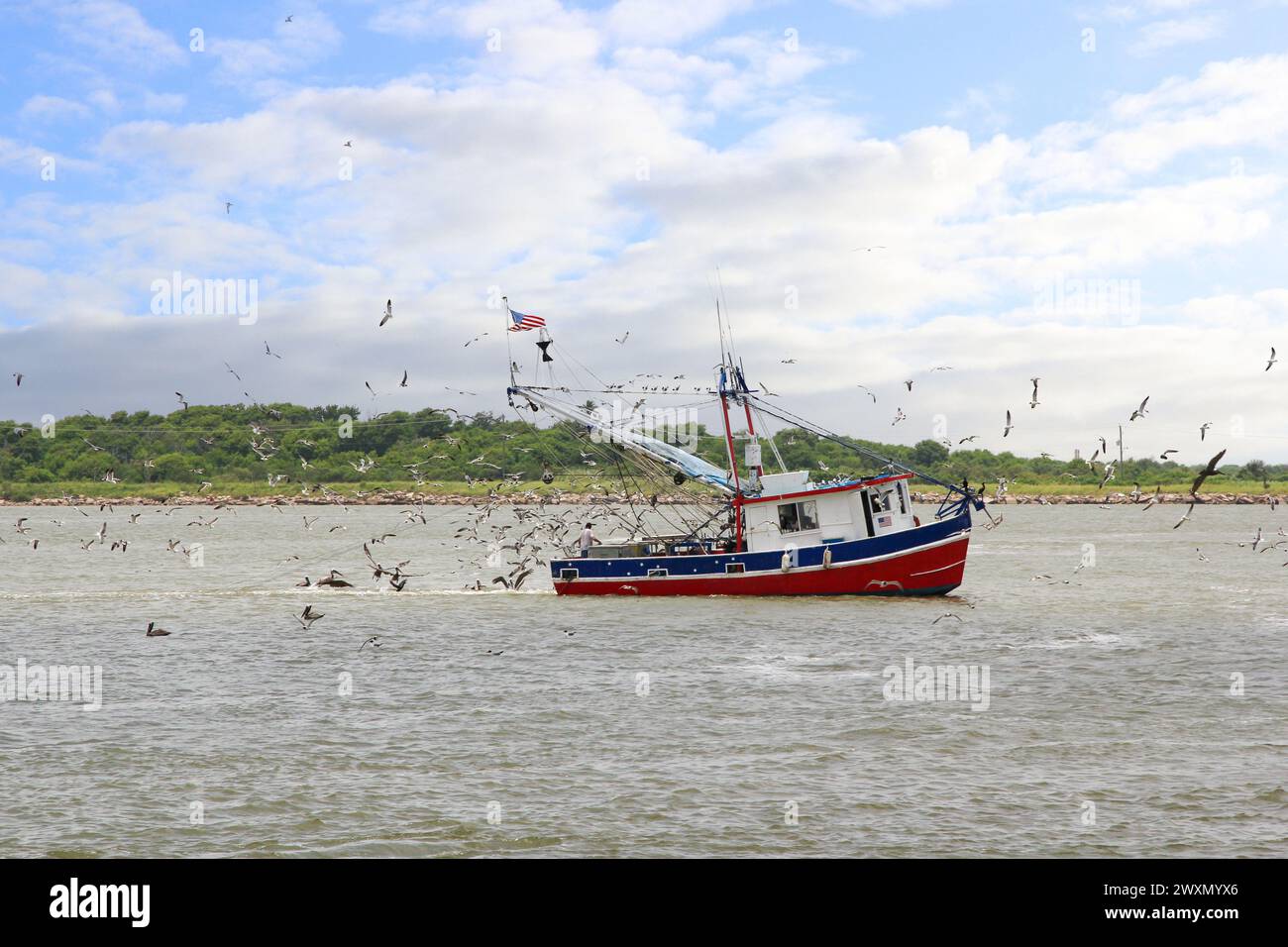 A fishing boat surrounded by sea birds trawls for fish as it heads out of Galveston Bay, Texas, on its way to Gulf Coast Waters Stock Photo