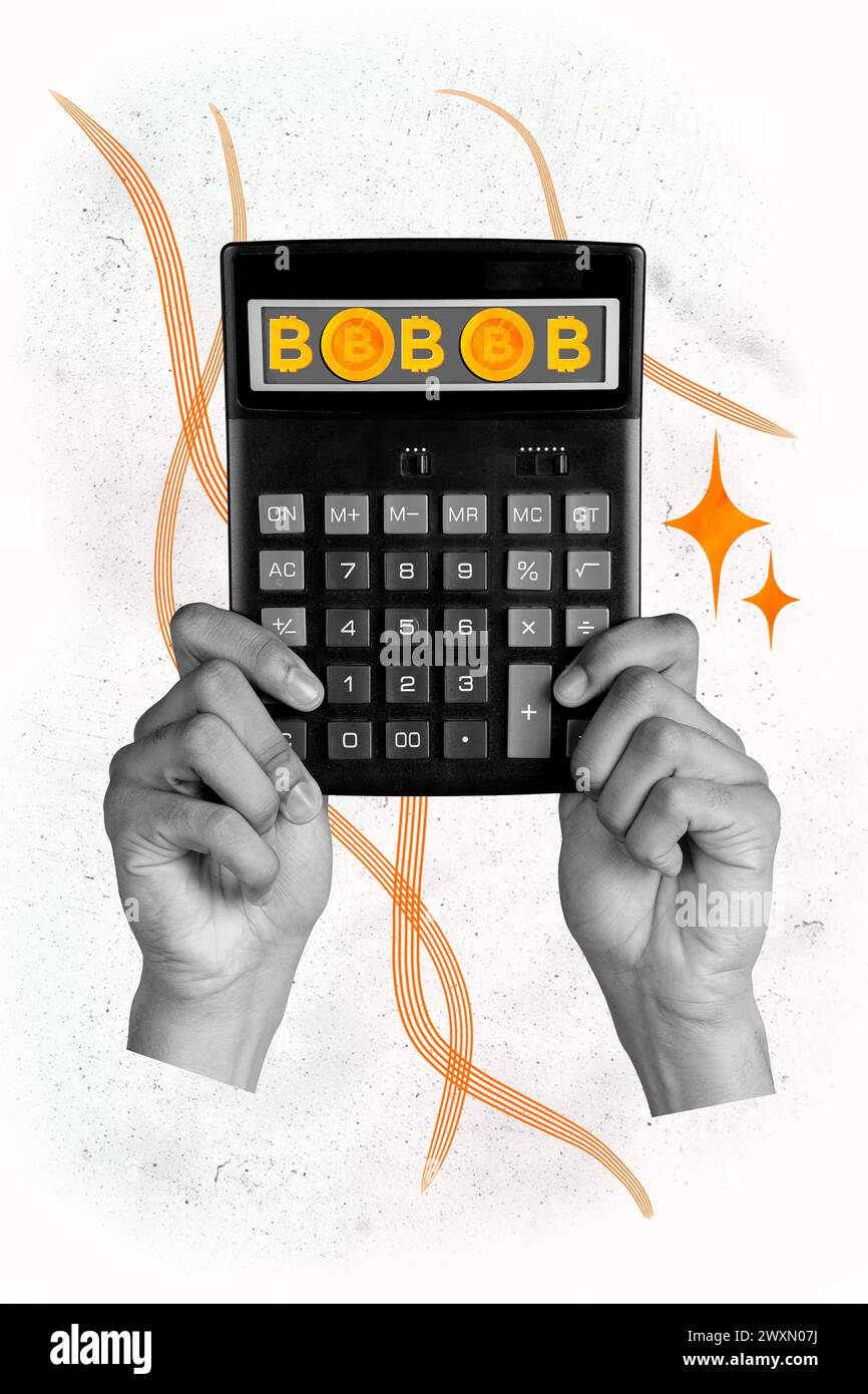 Vertical photo collage of hand hold calculator money gold bitcoin earnings  cryptocurrency trader token isolated on painted background Stock Photo -  Alamy