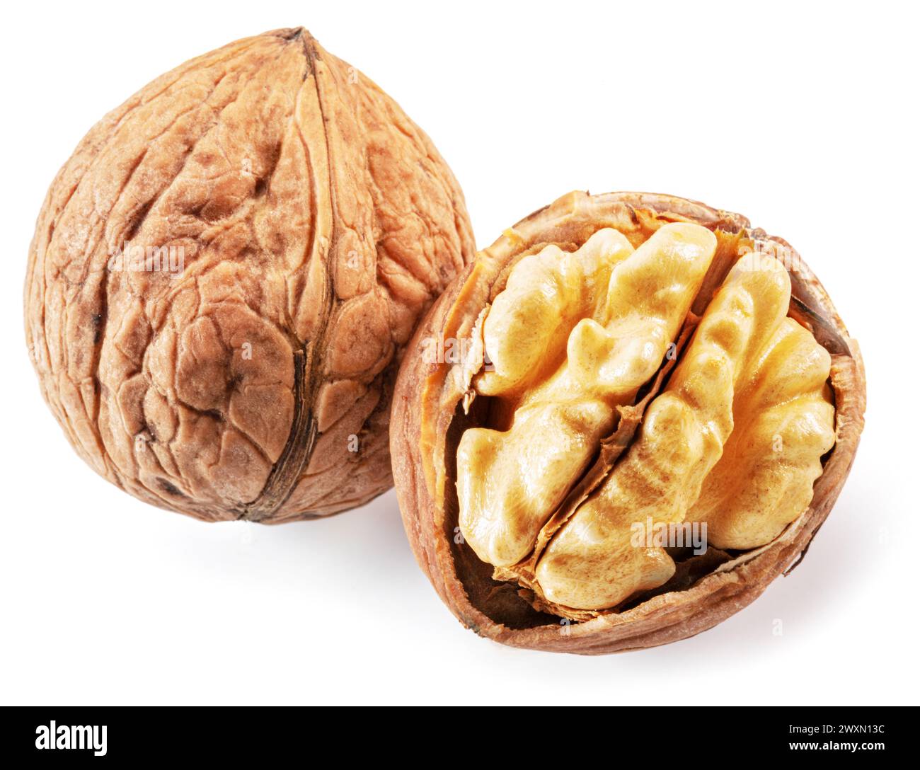 Whole walnut and walnut kernel isolated on white background. Stock Photo