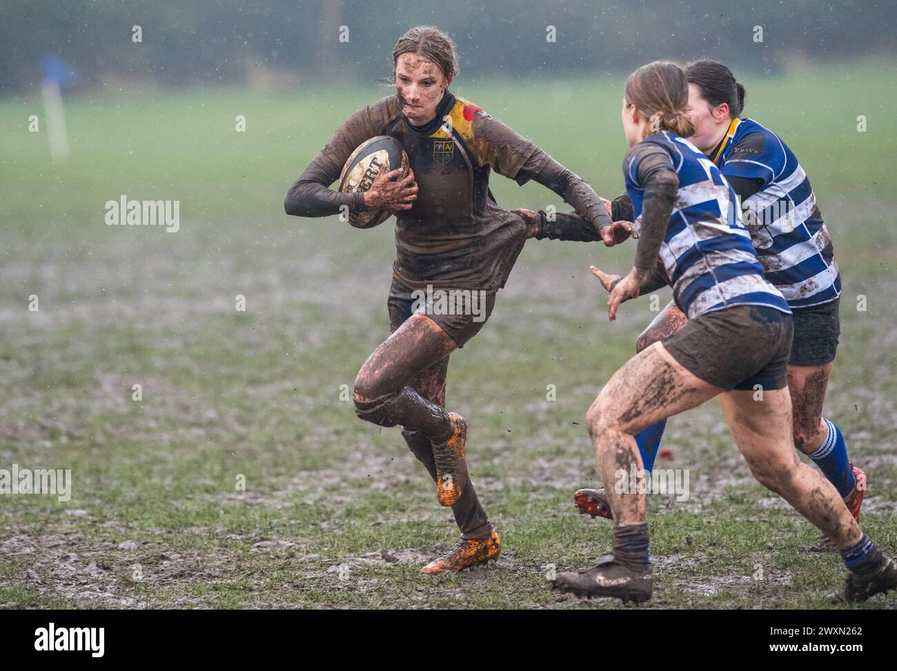 English amateur rugby union women's game playing in wet and muddy conditions. Stock Photo