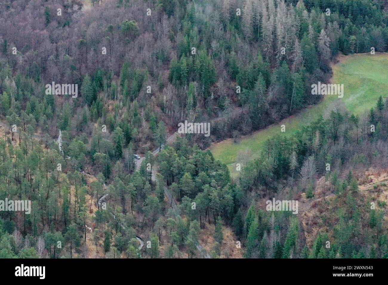 Le Vernet, France. 01st Apr, 2024. © PHOTOPQR/LA PROVENCE/AUTRE ; Le Vernet ; 01/04/2024 ; Affaire de la disparition inexpliquée le 8 juillet 2023 du petit Émile, deux ans et demi, dans le hameau du Haut Vernet (Alpes de Haute Provence 04) Le parquet d'Aix-en-Provence a annoncé ce dimanche 31 mars avoir identifié les ossements du petit Emile Illustration sur la zone de recherche autour du Haut Vernet d Le Vernet, France, april 1st 2024 bones of the missing child Emile found by a hiker in the mountain Credit: MAXPPP/Alamy Live News Stock Photo