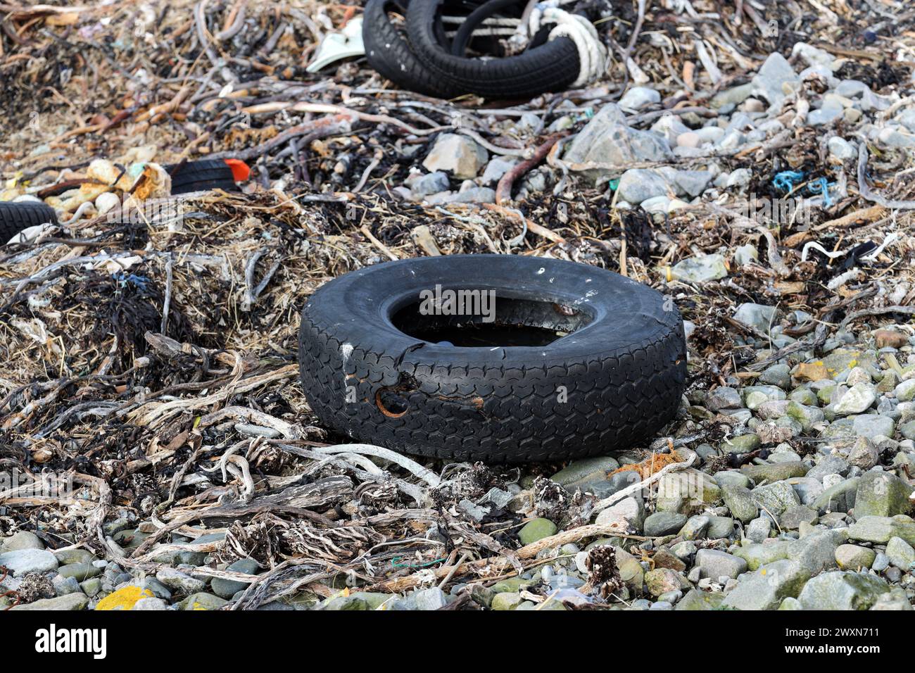 Plastics, tyres used to protect the sides of fishing boats and other waste washed up on the coast near Fraserburgh, Aberdeenshire, Scotland, UK. Stock Photo