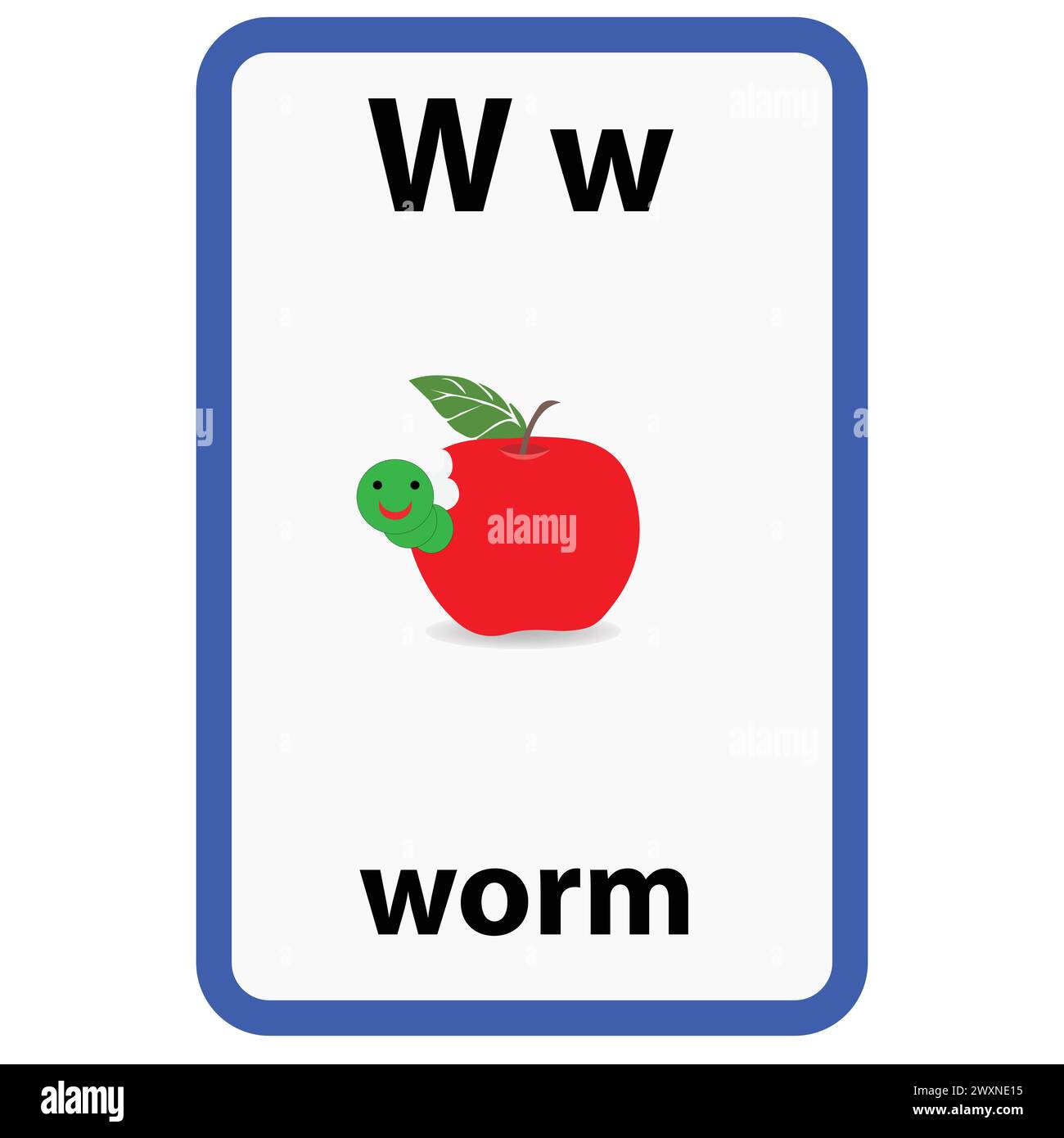 Alphabet flashcard for children with the letter w from worm Stock Vector