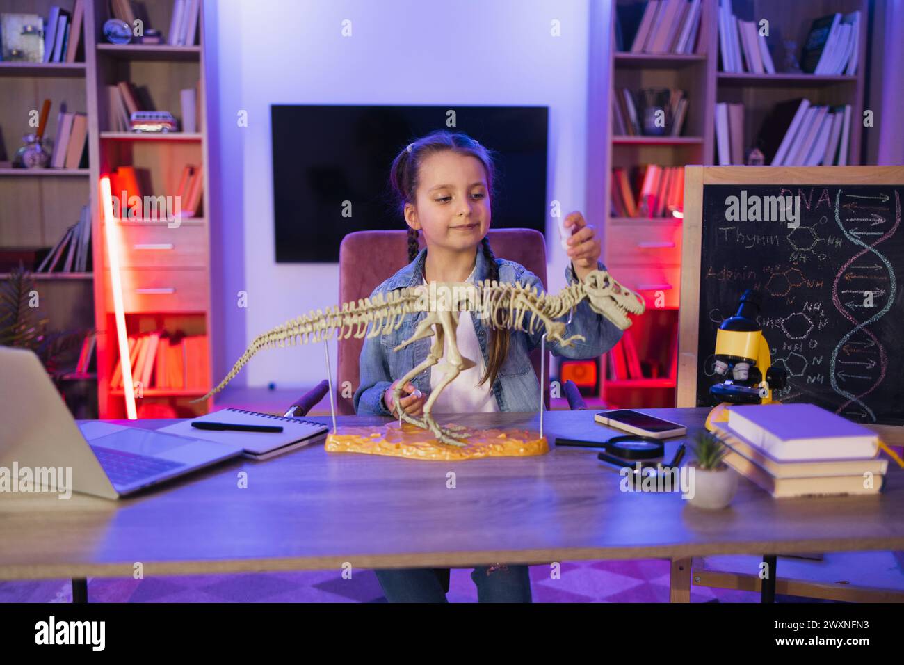 Happy preschool child gluing bones making model of tyrannosaurus at evening home Stock Photo Alamy