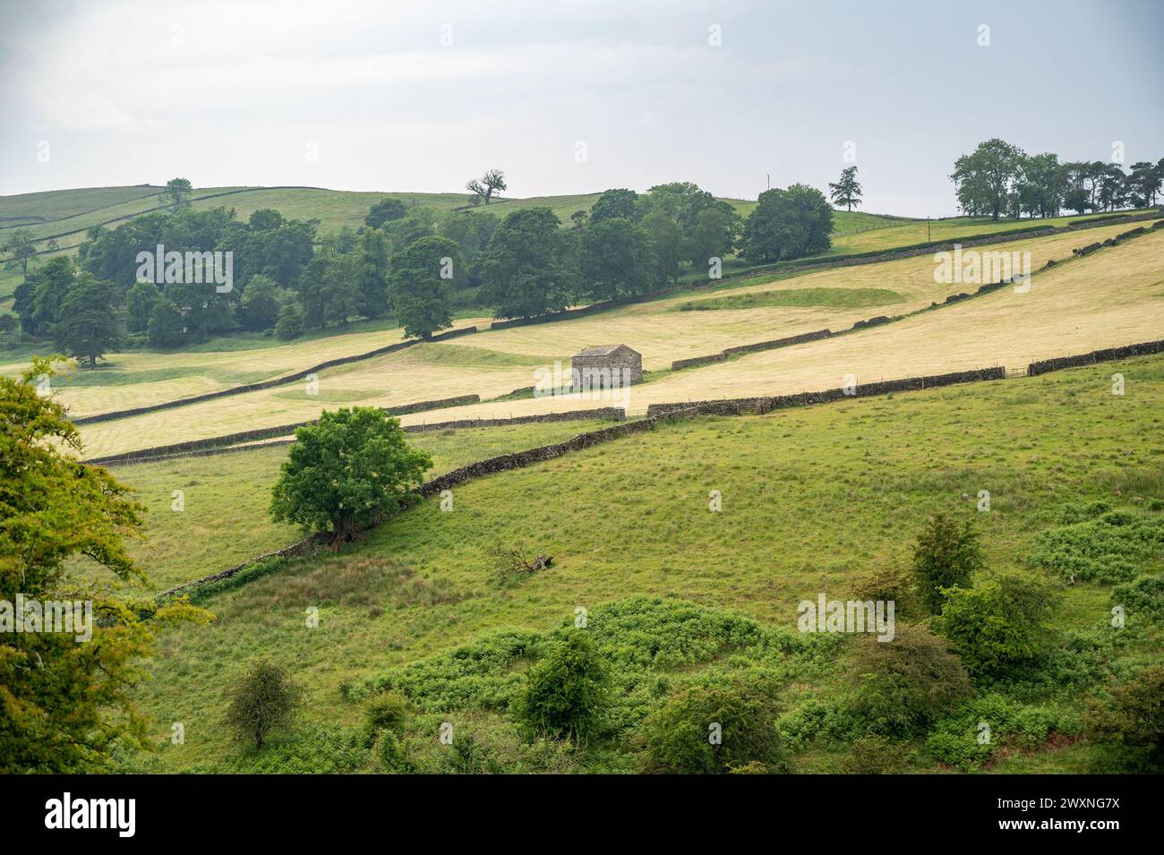 Field landscape in Yorkshire Dales England Stock Photo