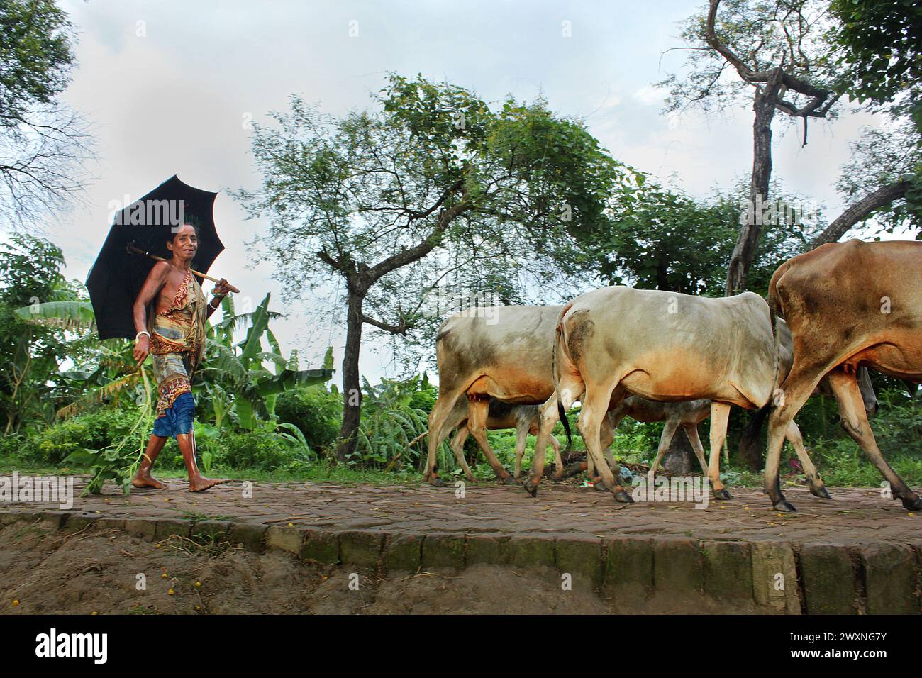Chalanbil hi-res stock photography and images - Alamy