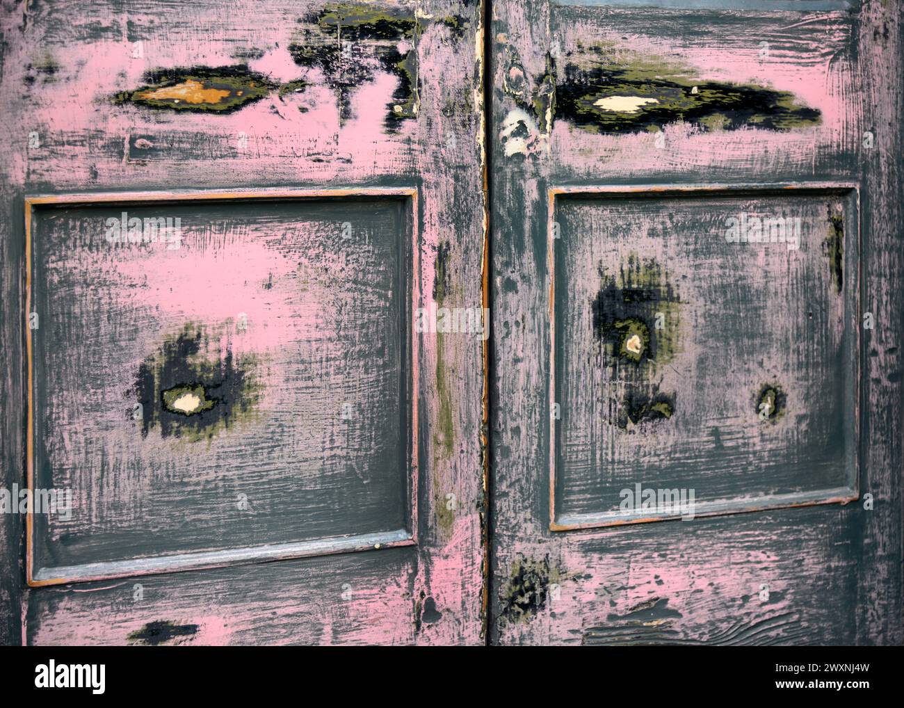 wooden doors Stock Photo