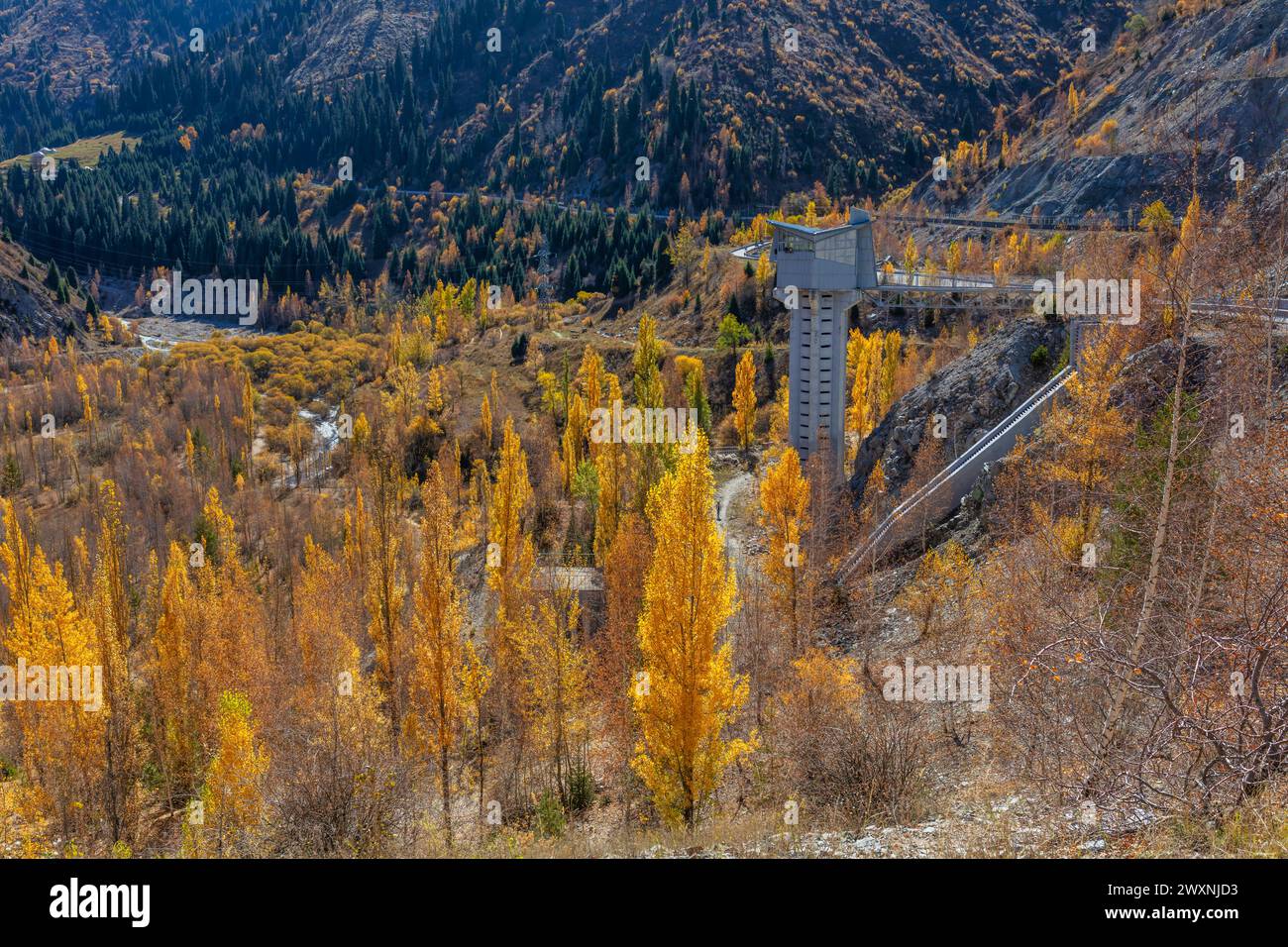 Outdoor speed skating bandy hi-res stock photography and images - Alamy