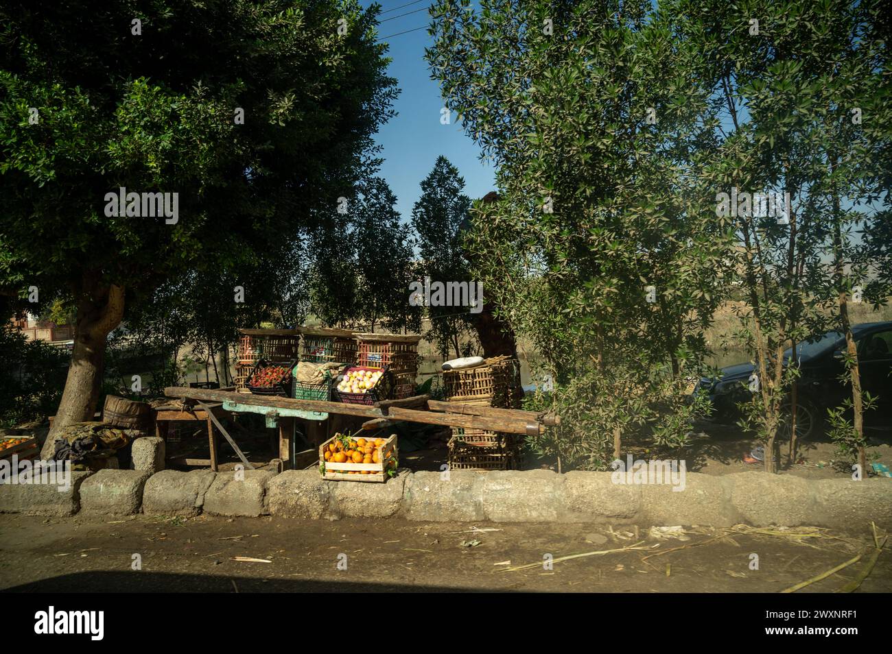 Egyptian trader selling fruits side of road Stock Photo