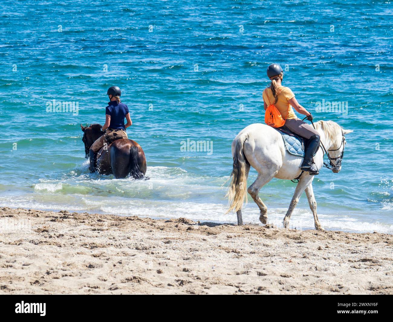 Mijas, Malaga, Spain. 03/15/2024. Traditional concentration of horse riders on the beach of La Cala, Mijas, Spain. Stock Photo