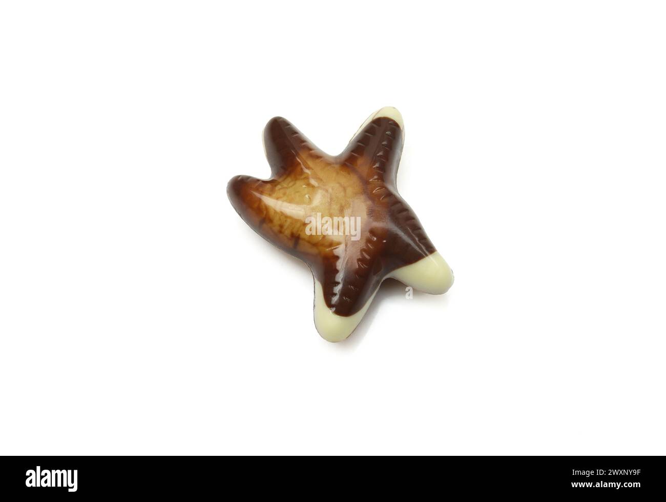 Single chocolate praline starfish isolated on white background. Stock Photo