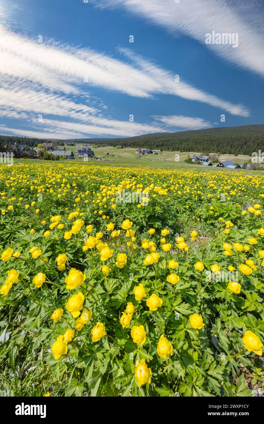 Spring landscape with Jizerka near Korenov, Northern Bohemia, Czech Republic Stock Photo