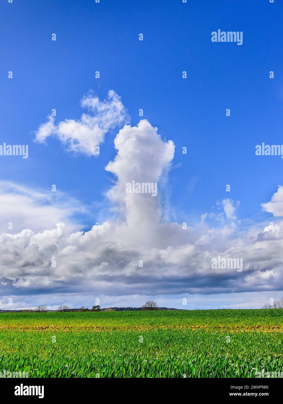 Higher altitude Cumulonimbus cloud forming from Cumulus, Stratocumulus and Nimbostratus base - central France. Stock Photo