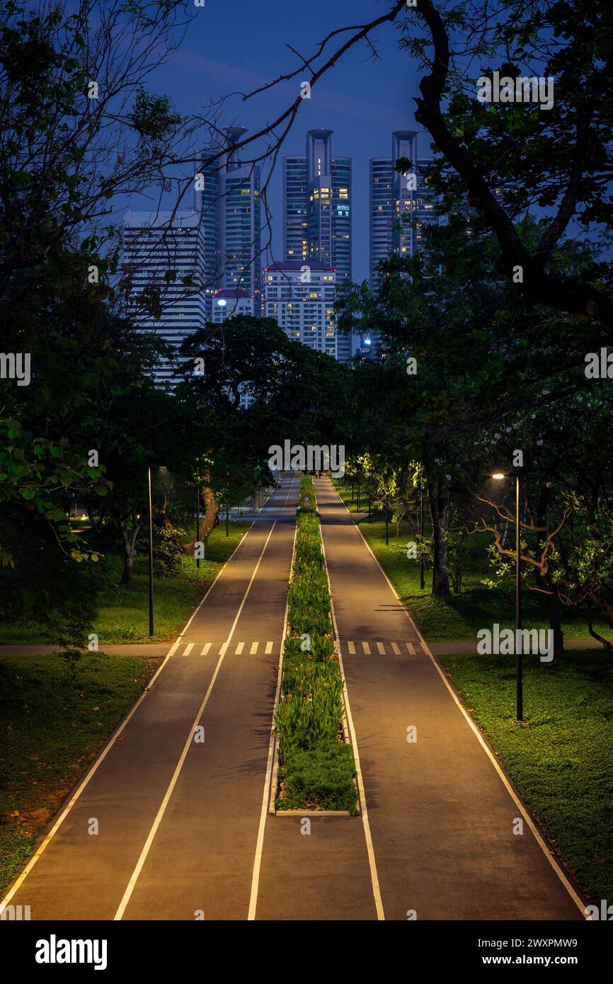 Lit skyscrapers behind a pathway or running track and lush trees at the ...