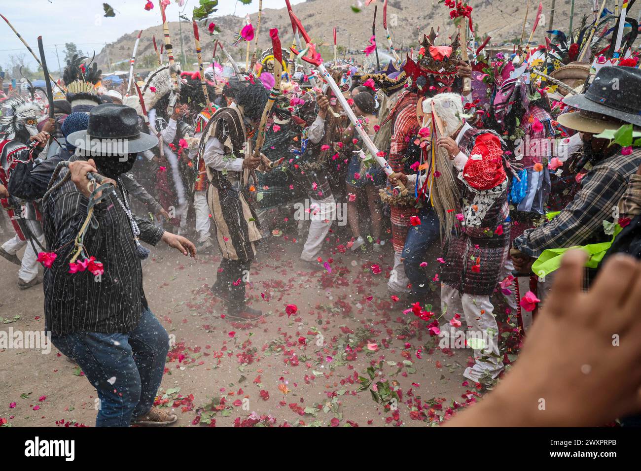 HERMOSILLO, MEXICO - MARCH 30: interpretation of battle of Pharisees with masks and rain of bougainvillea flowers in ceremony held in Colonia Los Naranjos, during holy week celebrations on March 30, 2024 in Hermosillo, Mexico.  (Photo by Luis Gutierrez/Norte Photo) Stock Photo