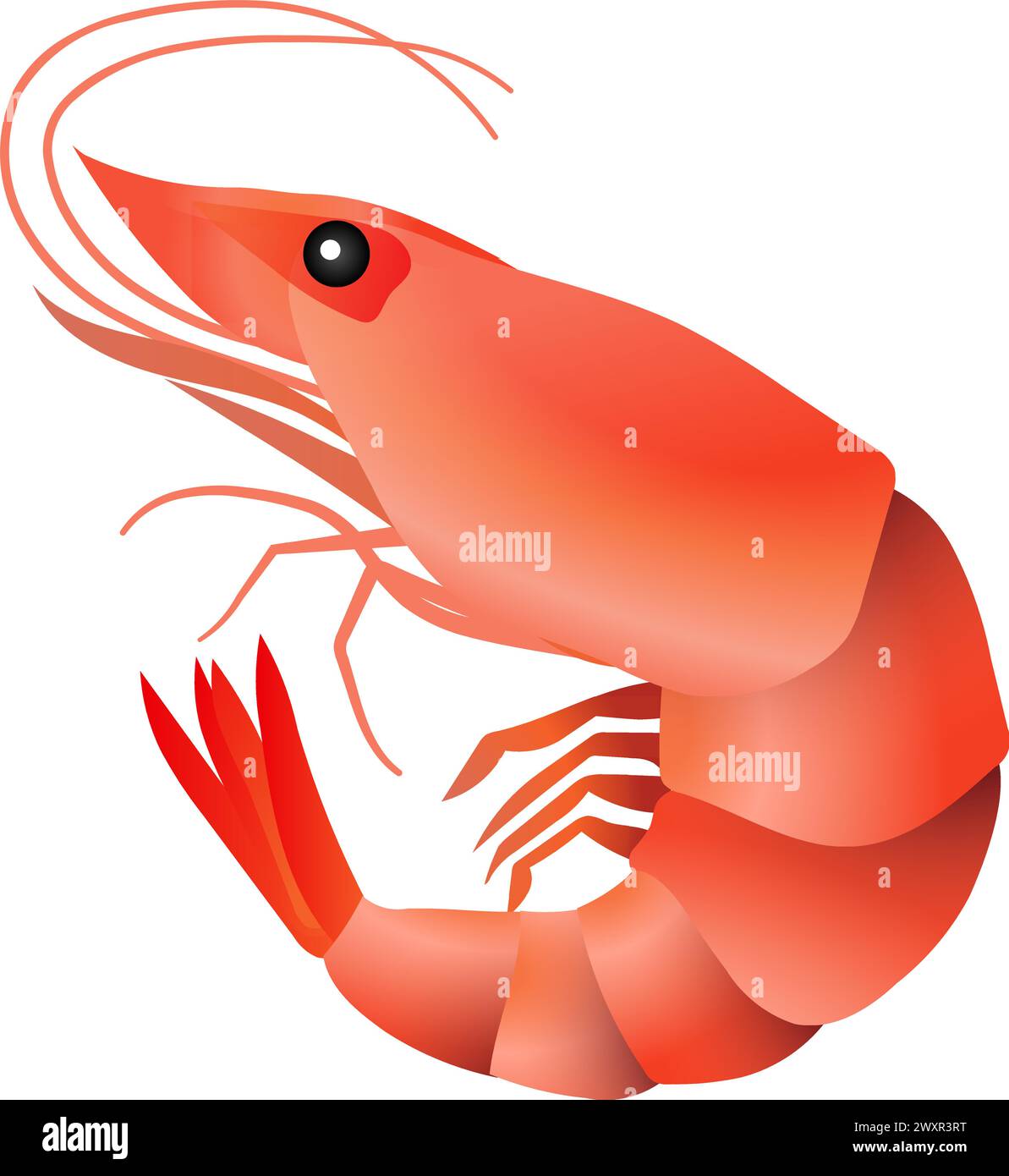 Shrimp business Stock Vector Images - Alamy