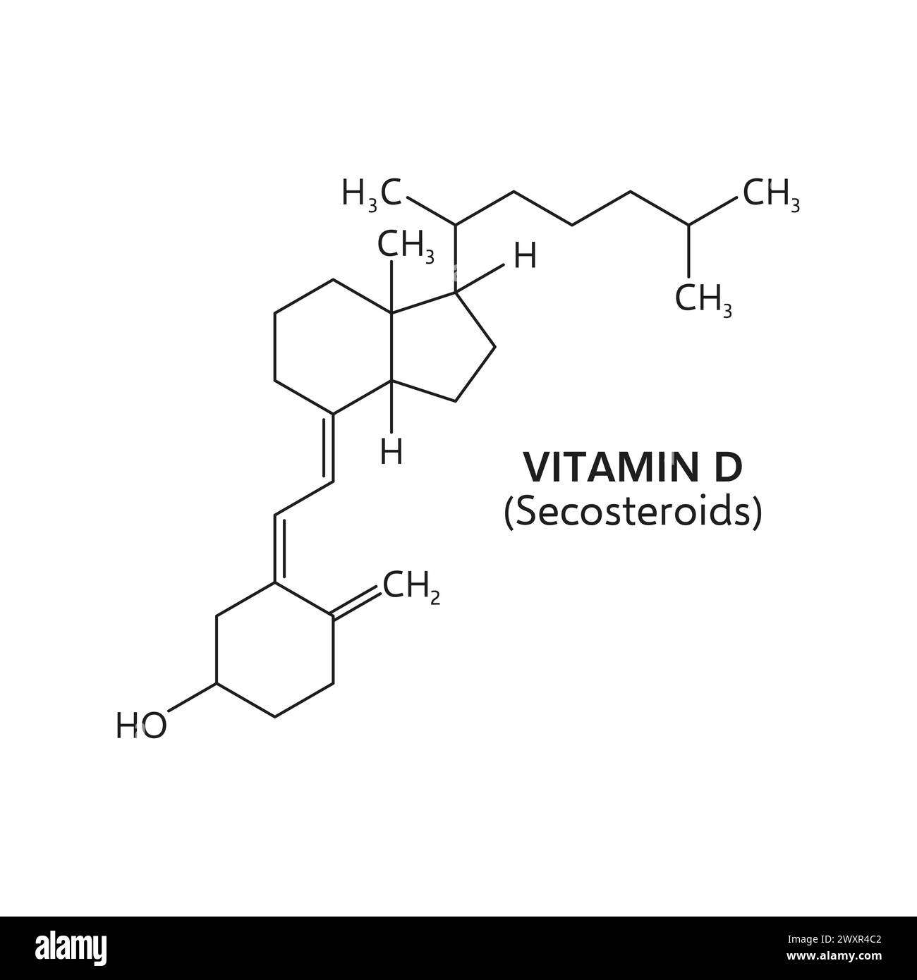 Vitamin D formula, vector line chemical structure of secosteroids made