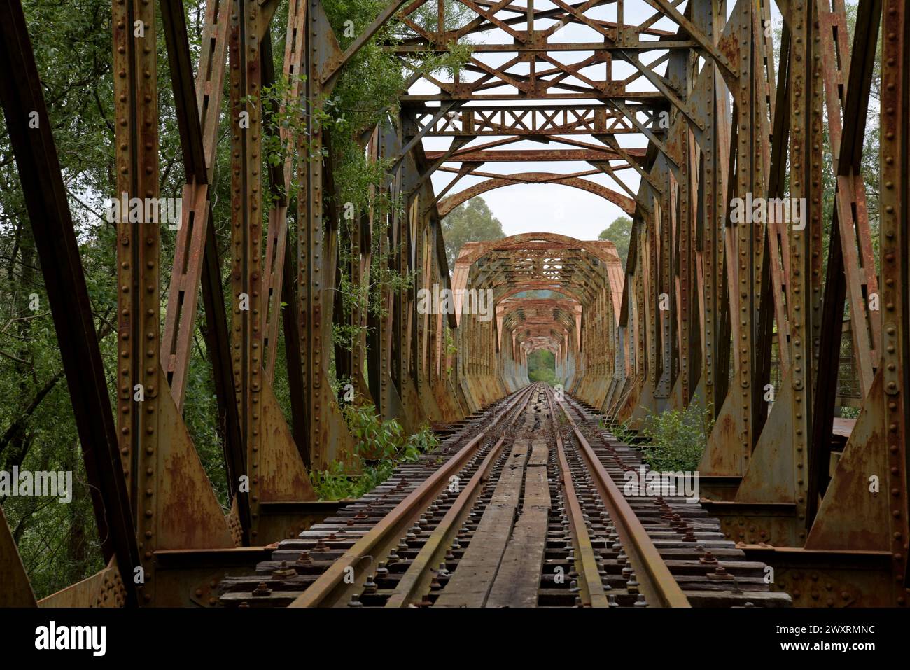 The disused Alfio steel girder railway bridge Pyrgos, Peloponnese, Greece, May 2023 Stock Photo