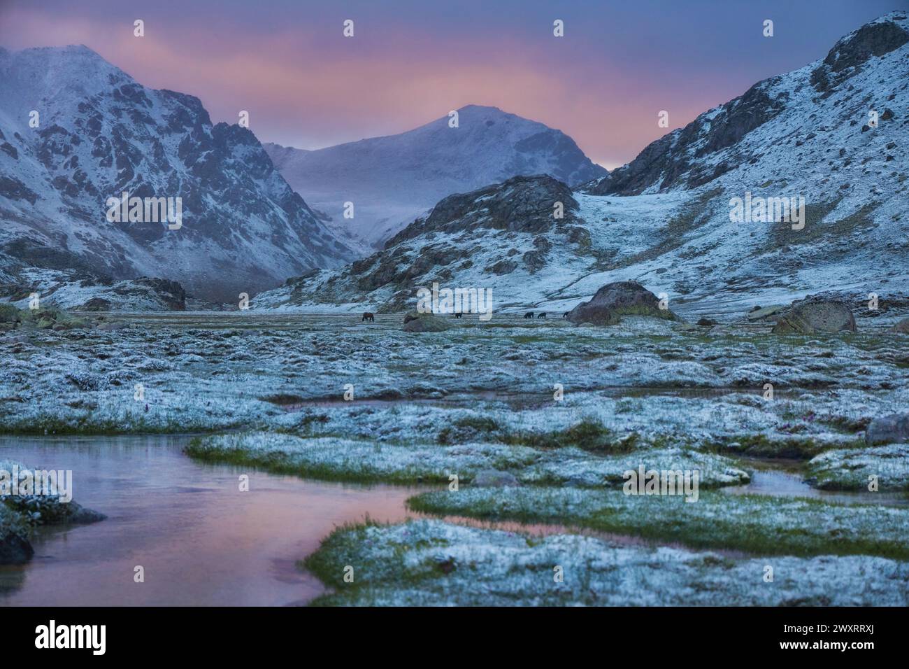 Twilight descends on a tranquil mountain valley with snow-capped peaks and a gentle river Stock Photo