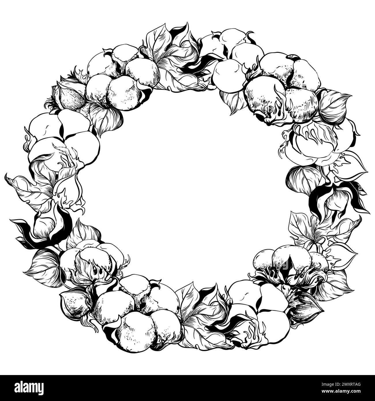 Round cotton frame with space for text. White cotton flowers using