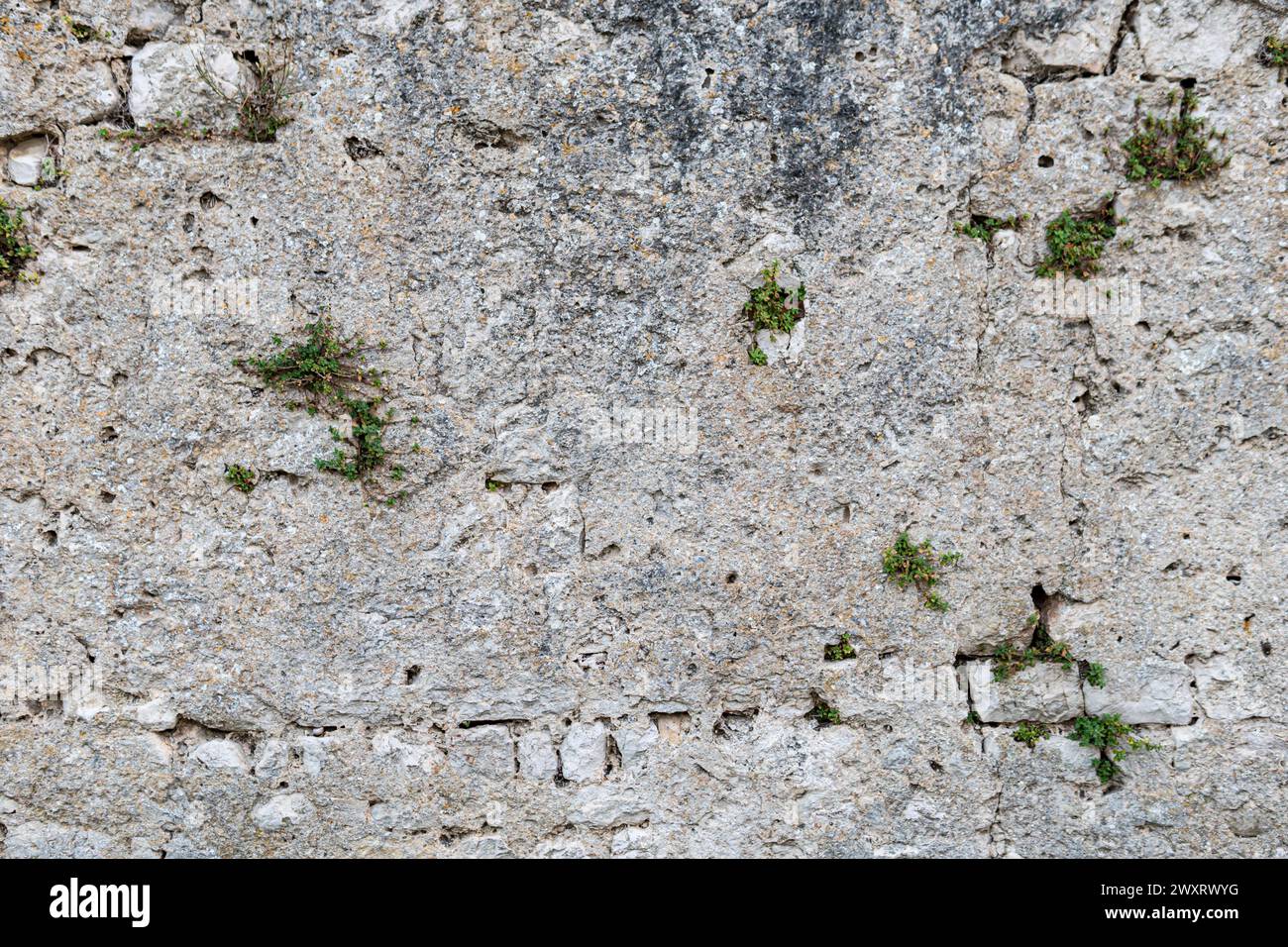 Texture of an old wall made from stone Stock Photo
