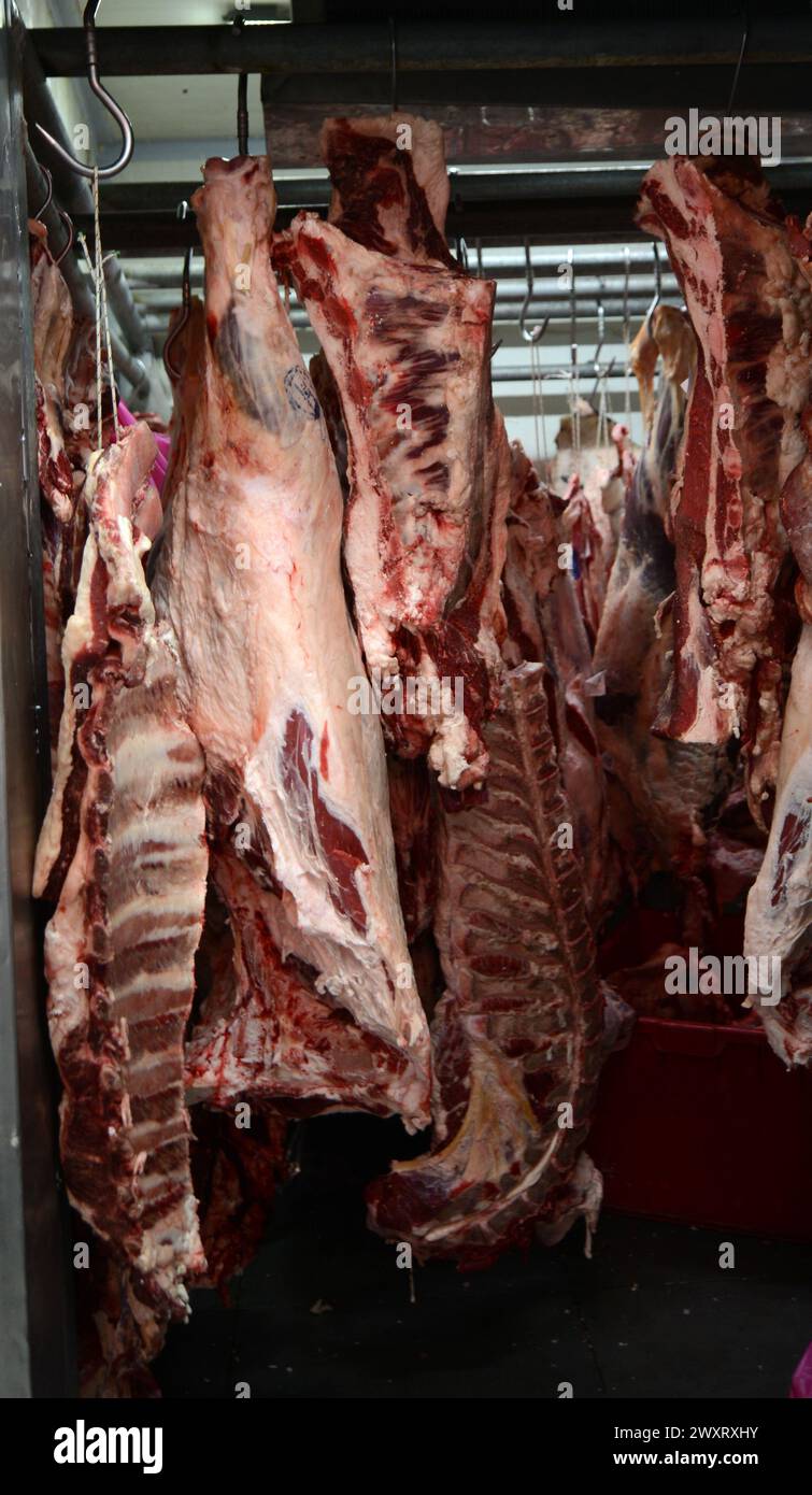 hanged slabs of beef at a butcher shop at the Carmel Market, Israel. Stock Photo