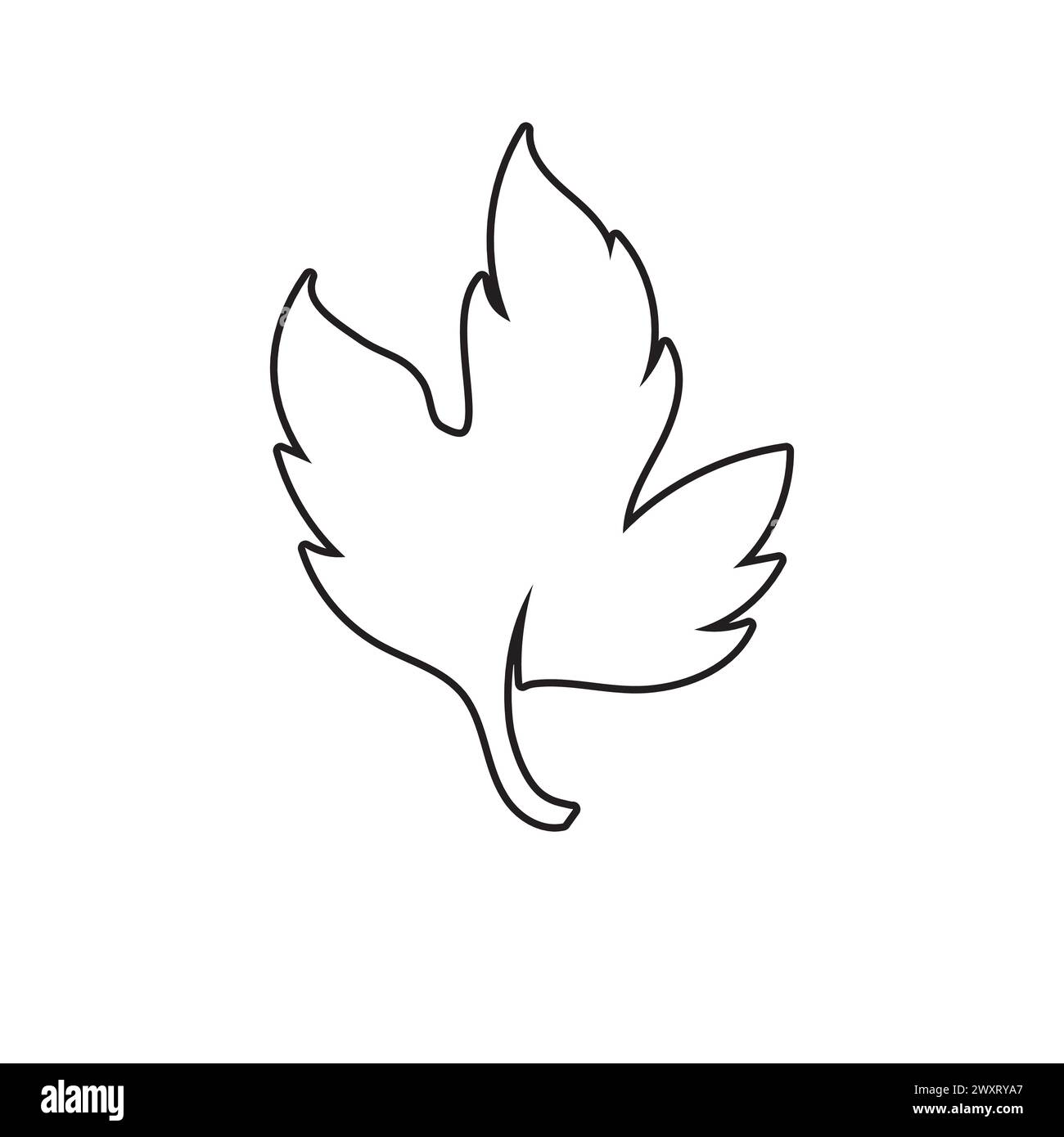 Autumn Maple leaf vector illustration design template Stock Vector