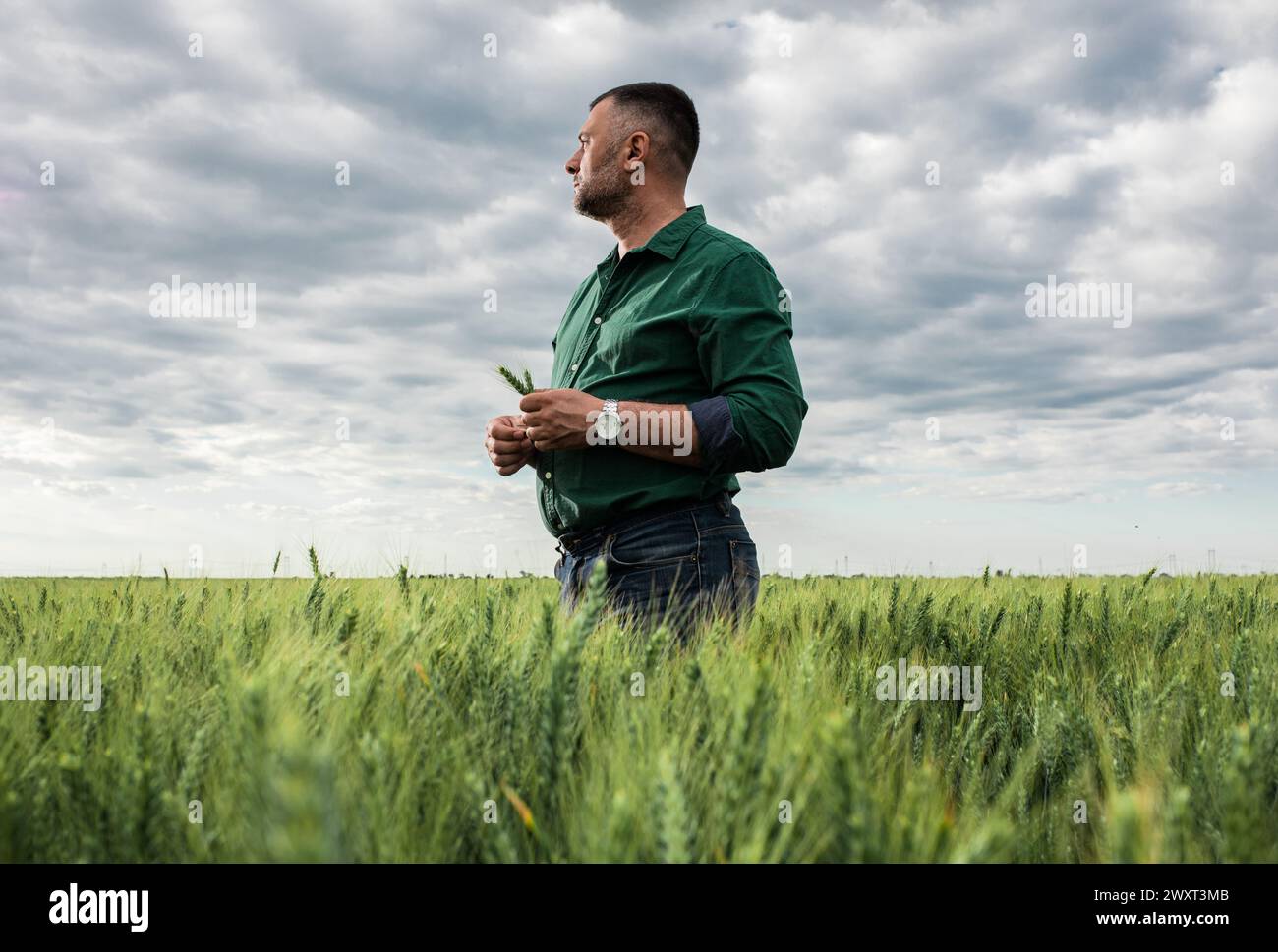 Farmer wheat hi-res stock photography and images - Alamy