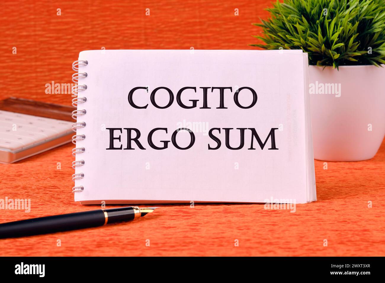 The words Cogito Ergo Sum or I think Therefore I Am on a white sheet of a notebook. Business concept Stock Photo