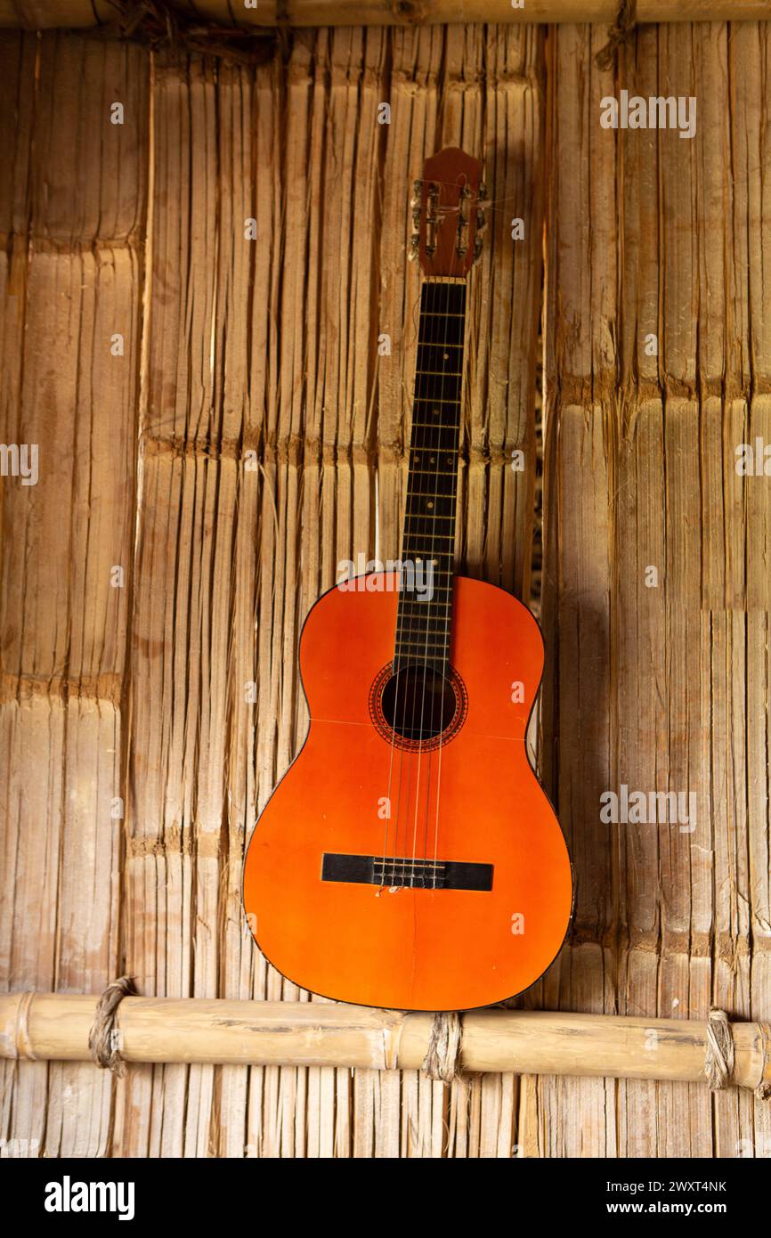 an iconic guitar rests against a reed wall, evoking the rich musical ...