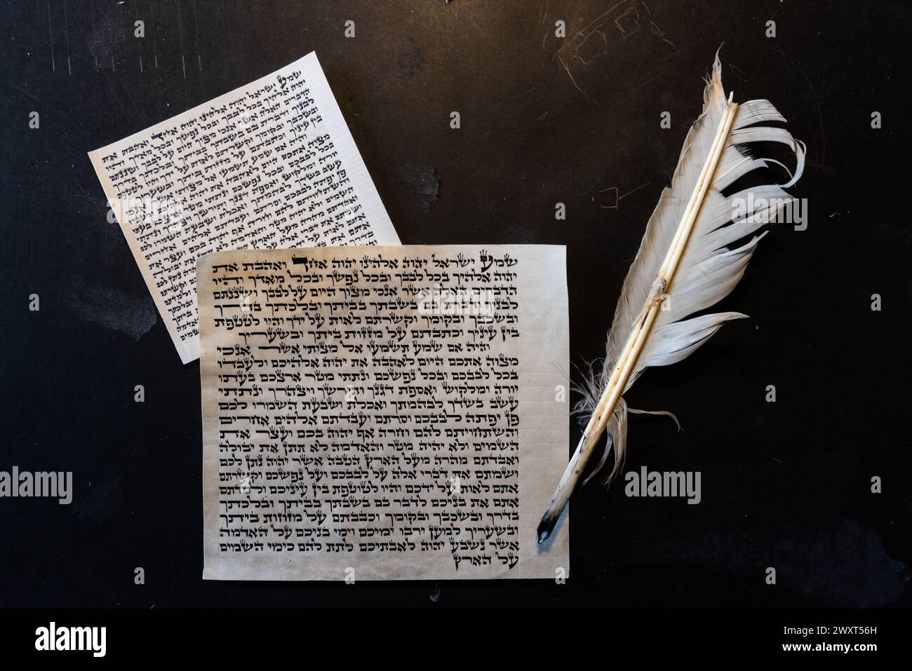 Mezuzah parchments made from animal skin with the full text of the