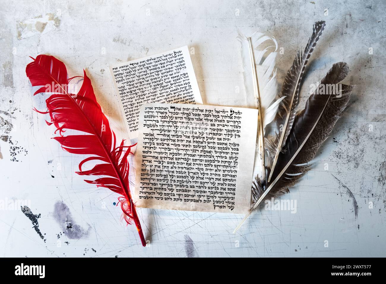Mezuzah parchment made from animal skin with the full text of the Shema