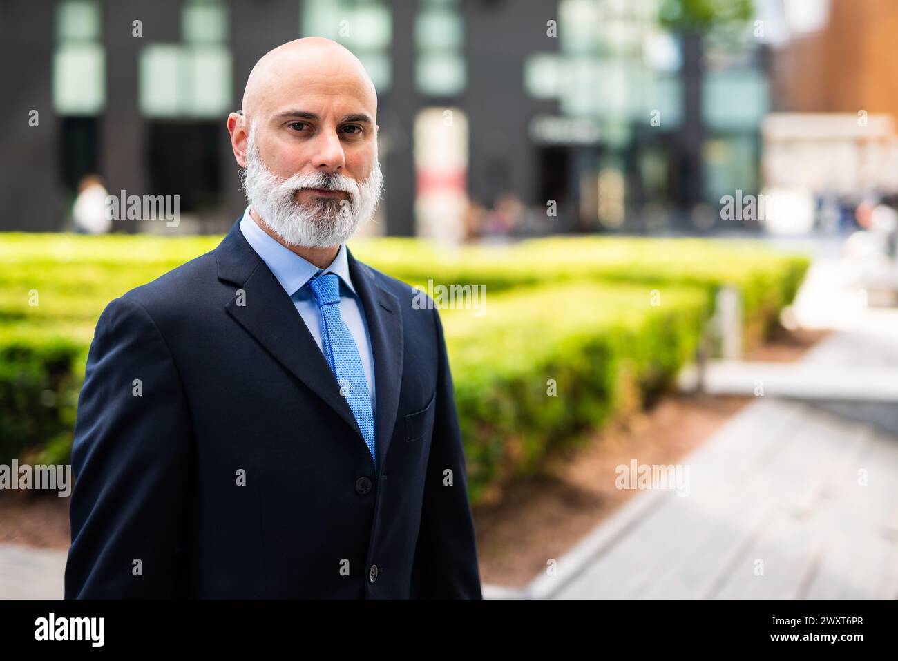 Mature bald stylish business man portrait with a white beard outdoor in a green city Stock Photo